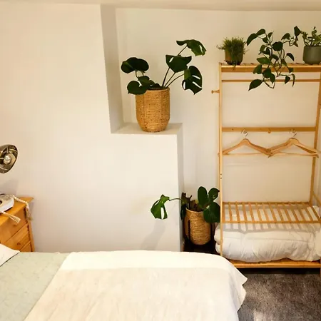 Lush Bedminster Πανσιόν