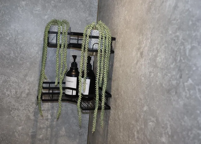 Lush Bedminster Bristol