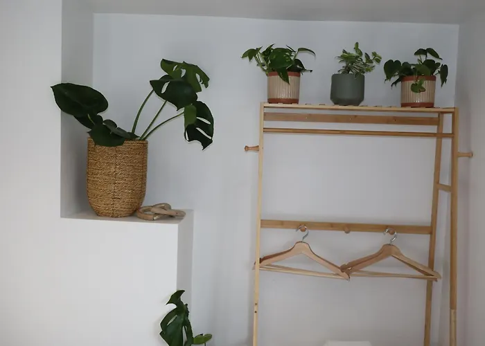 Lush Bedminster Gæstehus Bristol